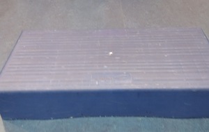 STEPS